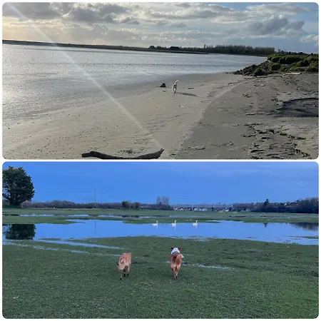 펜션 Des Hirondelles