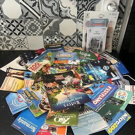 Des Hirondelles 펜션 *