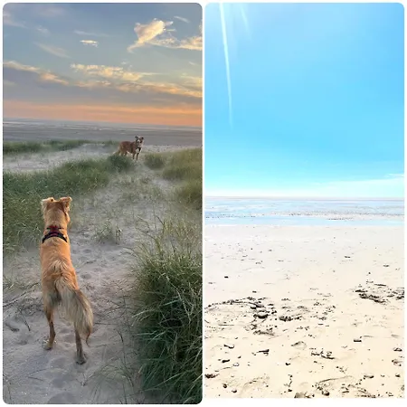 Des Hirondelles Σπίτι διακοπών Saint-Senier-de-Beuvron