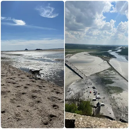 Des Hirondelles * Saint-Senier-de-Beuvron