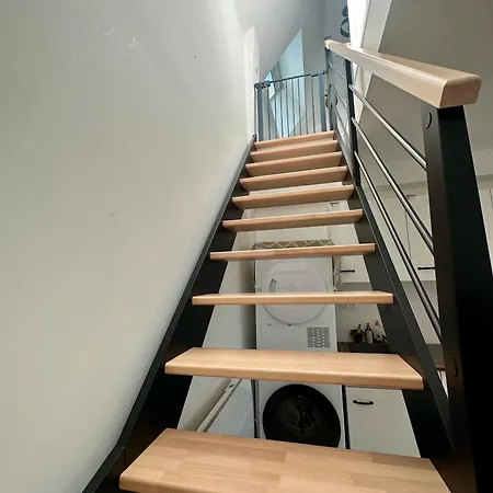 Des Hirondelles * Saint-Senier-de-Beuvron