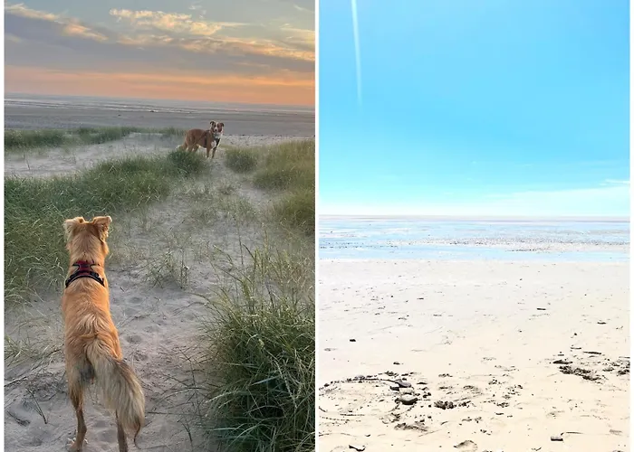 Des Hirondelles N Feriehus Saint-Senier-de-Beuvron