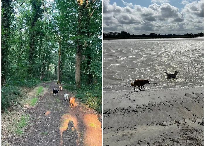 Des Hirondelles N * Saint-Senier-de-Beuvron