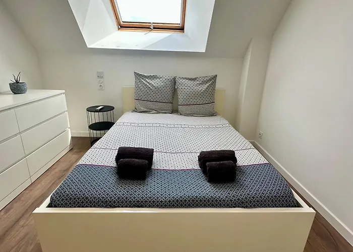 Des Hirondelles N Saint-Senier-de-Beuvron